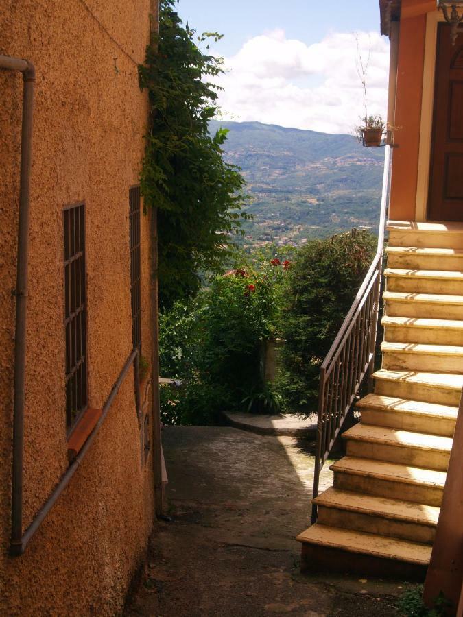 B&B Mamma Elena Rovito Exterior photo